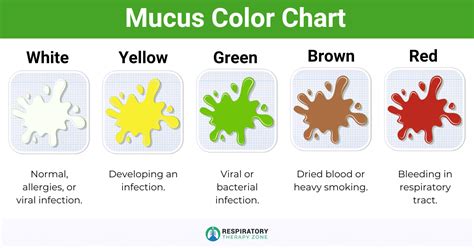 mucus in English .